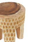 Paramo Hocker – Natur