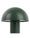 Tischlampe Feuer - Moos