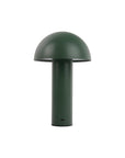 Tischlampe Feuer - Moos