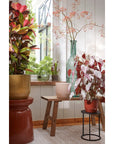 Stage Beistelltisch Orange