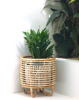 Rattan-Pflanzenständer MALANG, beige