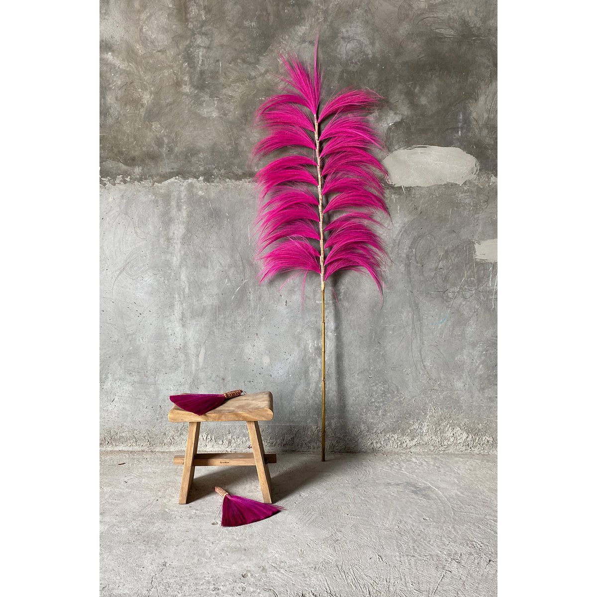Suar Hocker Natur