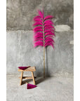 Suar Hocker Natur